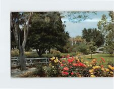 Postcard Low Park Riverside California USA picture