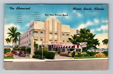 Miami Beach FL-Florida, Shorecrest Hotel, Advertising, Antique Vintage Postcard picture