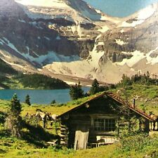 Mount Assiniboine Park Postcard Vintage Canada Lake Magog Canadian Rockies  picture