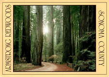 Sonoma County, Armstrong Redwoods, postcard, redwoods, beauty, nature,  postcard picture