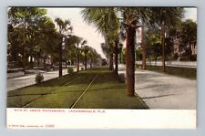 Jacksonville FL-Florida, Main St Above Waterworks, c1906 Vintage Postcard picture