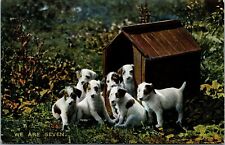 Vtg Pretty Puppies in Dog House We Are Seven 1910s Tuck Postcard picture
