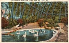 Vintage Postcard Interior Bird Cage Forest Park Fowl Species St. Louis Missouri picture
