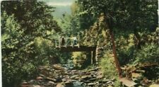Ulster County NY Bridge at Oliverea Circa 1910 Postcard  picture