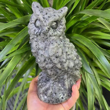 Natural Tianshan Blue Quartz Carved Owl Skull Crystal Reiki Decor Gift 200MM picture
