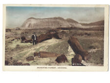 c.1900s Petrified Forest Arizona AZ Hand Colored Postcard UNPOSTED picture
