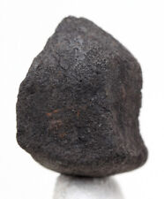 CHELYABINSK Meteorite Specimen Stone Chondrite RUSSIA w/ Case & ID Card picture