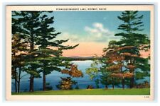 Pennesseewassee Lake Norway Maine ME Early Linen View picture