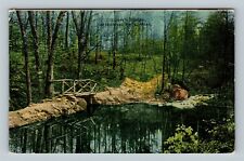 Middlesex Fells MA, Lover's Bridge, Massachusetts c1910 Vintage Postcard picture
