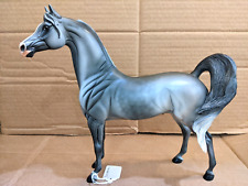 Peter Stone gorgeous grey Arabian Stallion Constantine picture