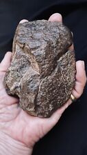 NW African Chondrite Meteorite, Big And For A Student Budget picture