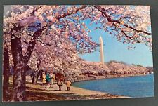 Vintage Postcard Cherry Blossoms Washington Monument Washington Novelty P10 picture
