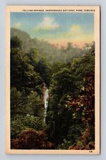 Shenandoah National Park, Falling Springs, Series #119 Vintage Souvenir Postcard picture