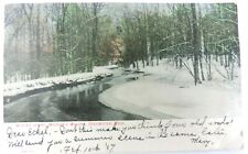 Watson's Woods Coldwater Michigan Winter Scene Vintage Postcard Posted 1907 Used picture