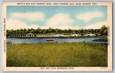 Sealy Springs, Alabama AL - Sealy's Hot Salt Mineral Well - Vintage Postcard picture