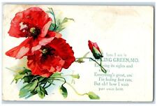 1909 Well Here I am Flower Embossed Bowling Green Missouri MO Vintage Postcard picture
