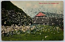 Postcard Pigeon Ranch Los Angeles California Unposted picture