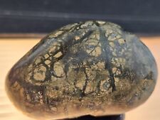 Natural Jasper Pyrite Egg Mineral Specimen Healing 46.6 Grams picture
