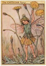 Cat's-Ear Fairy by Cicely Mary Barker. Wayside Flower Fairies c1948 old print picture