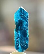 Rare Veszelyite Crystal Thumbnail Specimen Black Pine Mine Philipsburg Montana picture