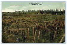 Ellensburg Washington WA Postcard Hopfield Exterior Field 1909 Vintage Antique picture