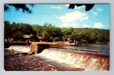 Marienville, PA-Pennsylvania, Loleta Recreational Area Antique, Vintage Postcard picture