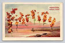 Postcard Wallflower 