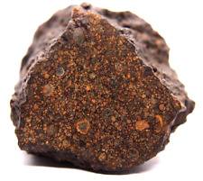 Meteorite NWA 15243  LL3  CHONDRITE METEORITE 50.4 gram picture