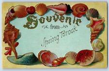 Spring Brook Wisconsin WI Postcard Seashells Border Embossed c1910's Antique picture