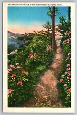 Postcard Hiking Trails in the Shenandoah National Park Pink Flowers Linen  picture