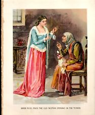 Illustration Fairy Tales in easy words 1904 Brier Rose Finds Old Woman  picture