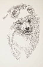 American Eskimo Dog Art Portrait Drawn from Words #28 Kline adds dog name free. picture