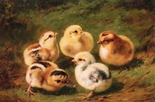 Art Oil painting lovely & cute animals Baby-Chicks-Arthur-Fitzwilliam-Tait picture