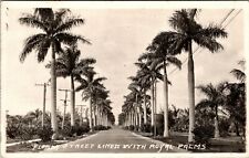 Florida Street Lined with Royal Palms RPPC picture