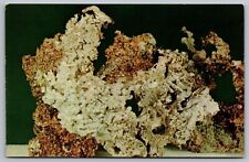 Native Silver Crystals Arborescent Form Arcadian Mine Keweenaw Michigan Postcard picture