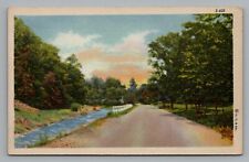 Curt Teich County Scenes Creek Running Along Dirt Road Unposted Linen Postcard picture