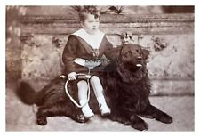 CUTE LITTLE GIRL SITTING ON HER NEWFOUNDLAND DOG 4X6 PHOTO picture