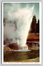 Haynes Riverside Geyser  Series 100 123 Yellowstone National Park P824 picture