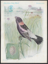 Singer Sewing Machines American Song Birds 1931 Bobolink / Air-Brush Vacuum picture