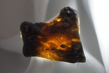 Darwin Glass - 17g - Austalite - Darwinite - tektite - impactite #big35 picture