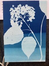 Artist Susanna Beltrandi Original Cyanotype Print on Postcard 6x 4