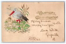 1906 Heartiest Congratulations Stork Baby Embossed Gaysville Vermont VT Postcard picture
