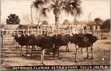 c1920s Jacksonville, Florida Real Photo RPPC Postcard 
