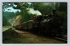 Blowing Rock NC-North Carolina, Tweetsie RR, Narrow Gauge Train Vintage Postcard picture
