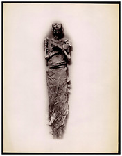 Emil Brugsch, Mummy of Pharaoh Ramses II, Egypt Vintage print. Albumi Print picture