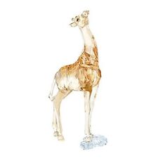 Swarovski Crystal, SCS Annual Edition 2018 Giraffe Baby #5302151 New In Box picture