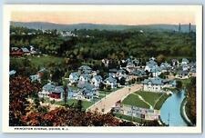 c1920's Aerial View Princeton Avenue Residential Area Dover New Jersey Postcard picture