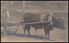 Black Americana, African American Man with Ox Cart, Real Photo Postcard RPPC picture