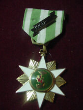 Vintage 1960 Vietnam War US Army Chien Dich Boi Tinh Pin Medal  picture