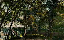 Postcard: Wooded Area by Lake with Dock picture
